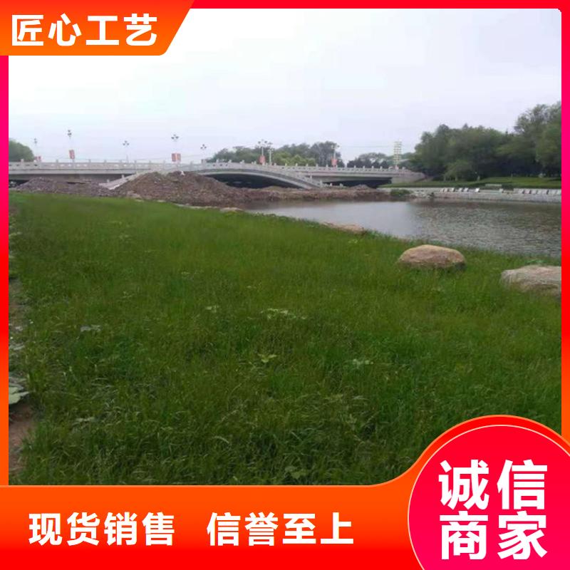 植生椰丝毯生态环保草毯当地生产商