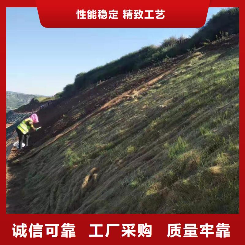 植物纖維毯-生態(tài)護(hù)坡毯-草種植生毯產(chǎn)品細(xì)節(jié)參數(shù)