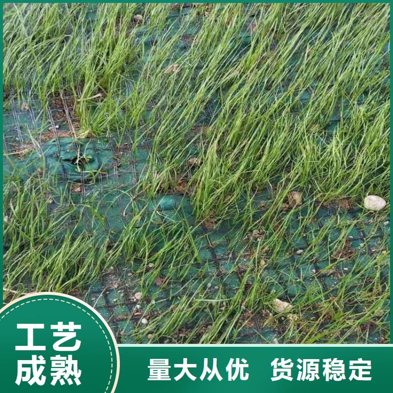 生態(tài)環(huán)保草毯當?shù)刎浽? width=