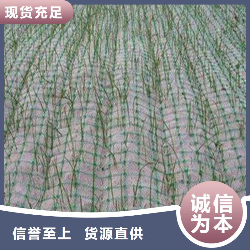 椰纤植生毯产品动态从源头保证品质