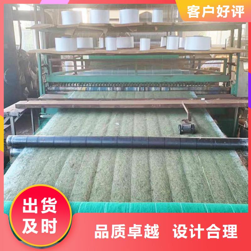 抗沖生物毯-河道護(hù)坡椰絲毯-椰絲植被纖維毯本地生產(chǎn)商