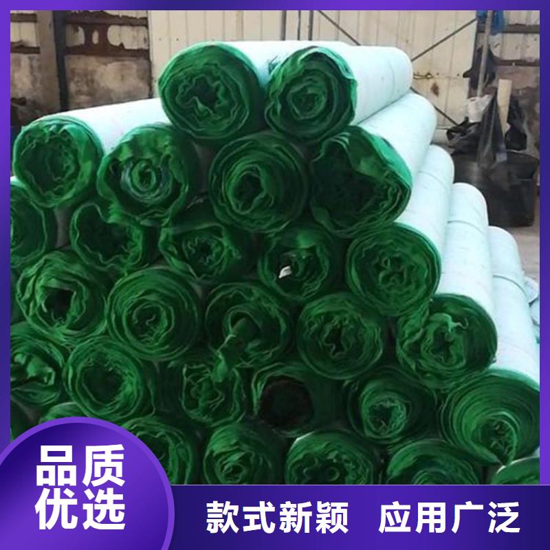 植物纖維毯護坡植被植草毯支持批發(fā)零售