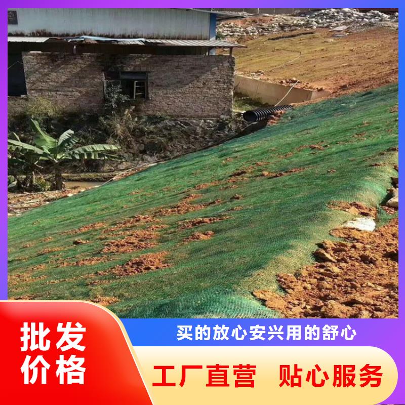 植物纖維毯護坡植被植草毯工藝成熟