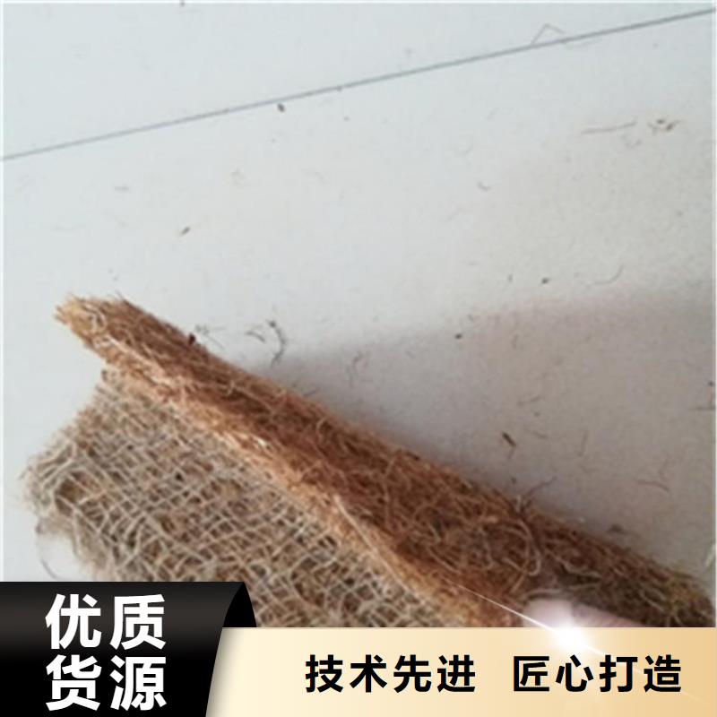 椰纤植生毯植物纤维毯资讯动态当地厂家