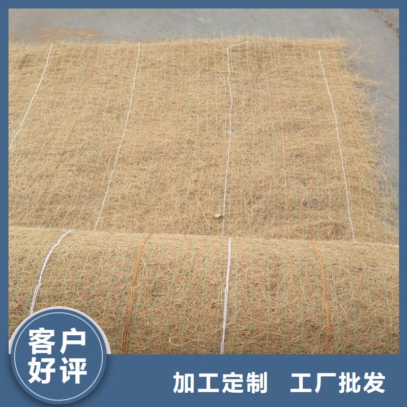 加筋植物纖維毯-植物纖維草毯-水保加筋植生毯打造行業(yè)品質(zhì)