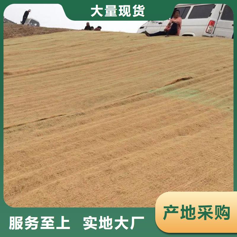 生態(tài)環(huán)保草毯價(jià)格優(yōu)惠本地制造商