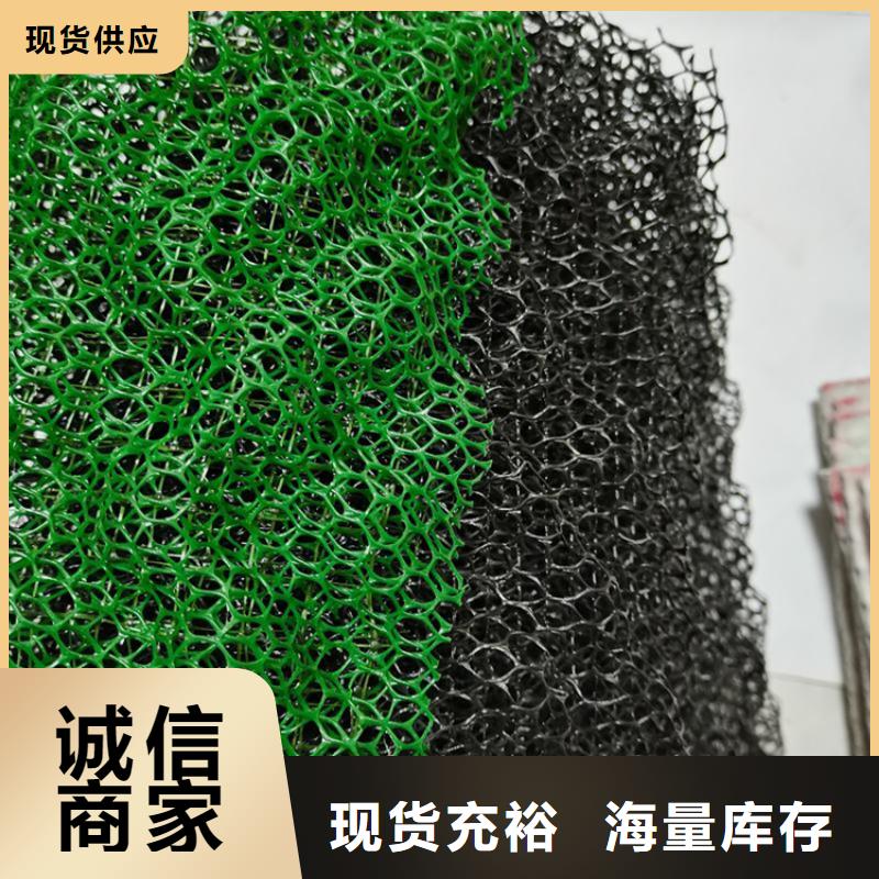 三维土工网垫-三维固土网垫同行低价