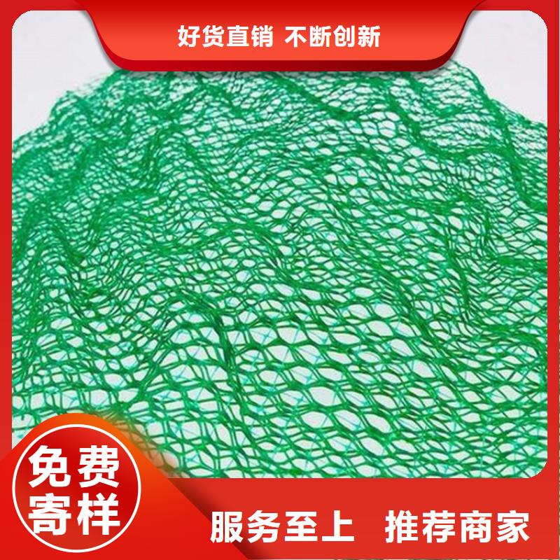 三維植被網(wǎng)復(fù)合膜貨源足質(zhì)量好規(guī)格型號(hào)全