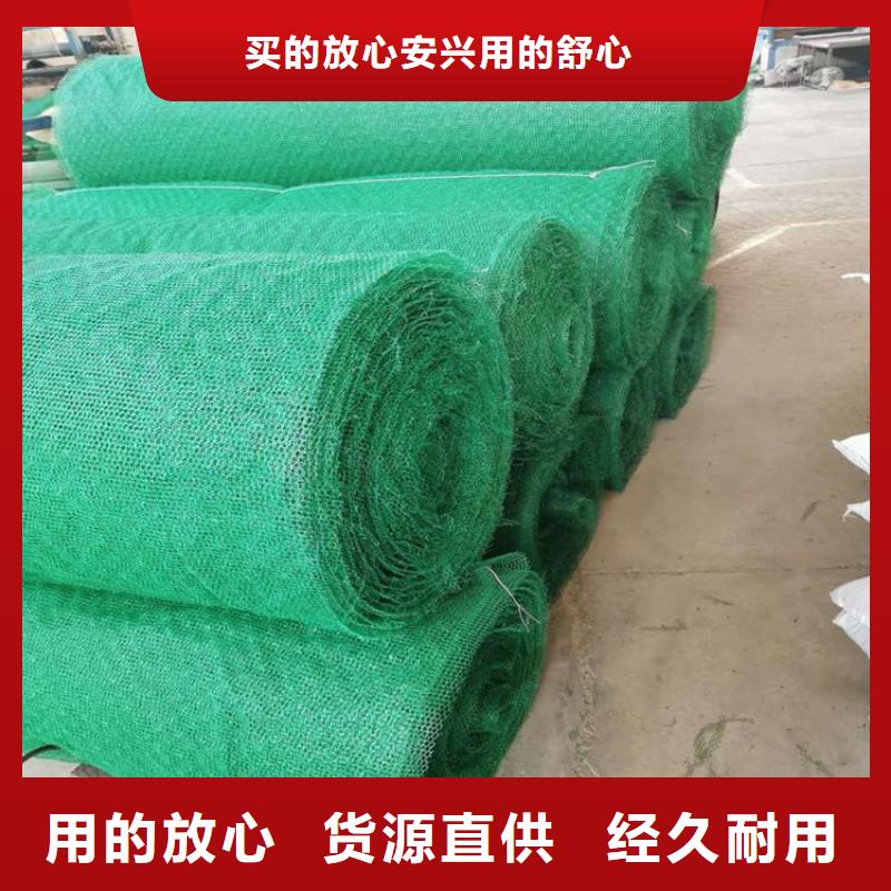 塑料EM2三维固土网垫本地品牌
