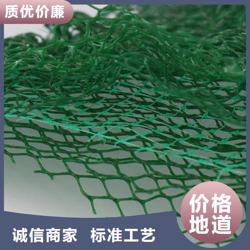 EM2固土三维植被网同城服务商