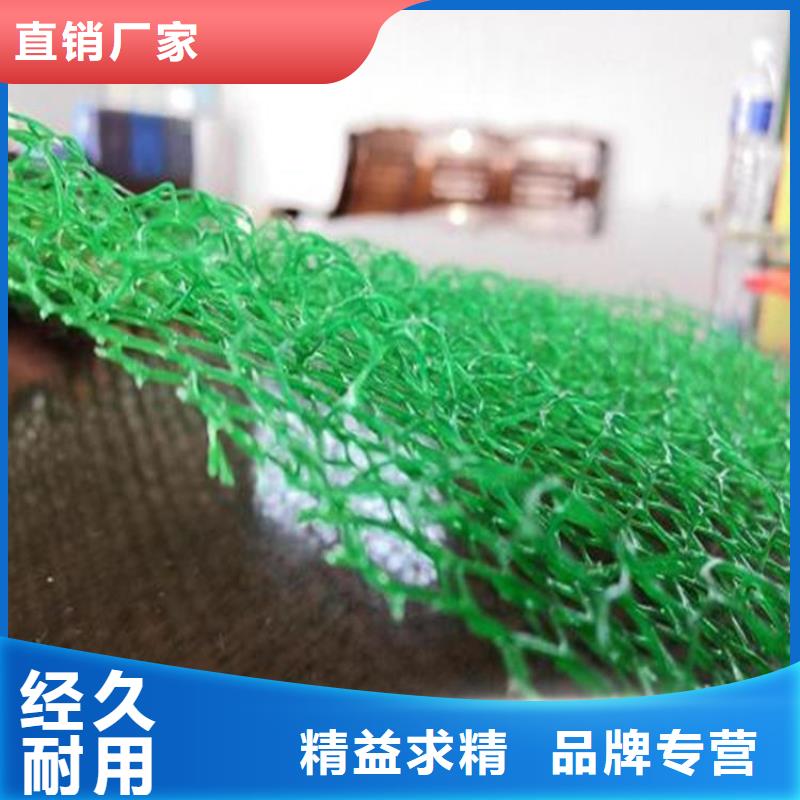 护坡植被植草网EM4EM3本地厂家