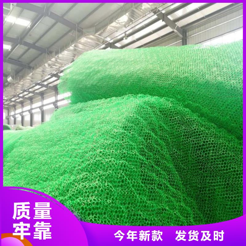 三维固土网垫EM3三维植被网源厂直销