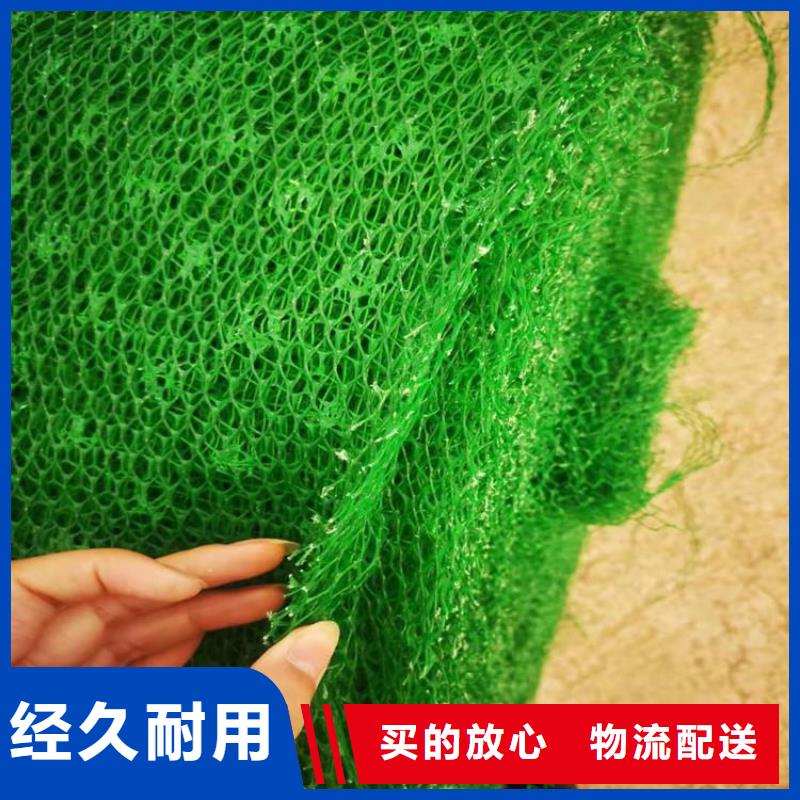 三維植被網(wǎng)土工材料適用場景當?shù)仄放? width=
