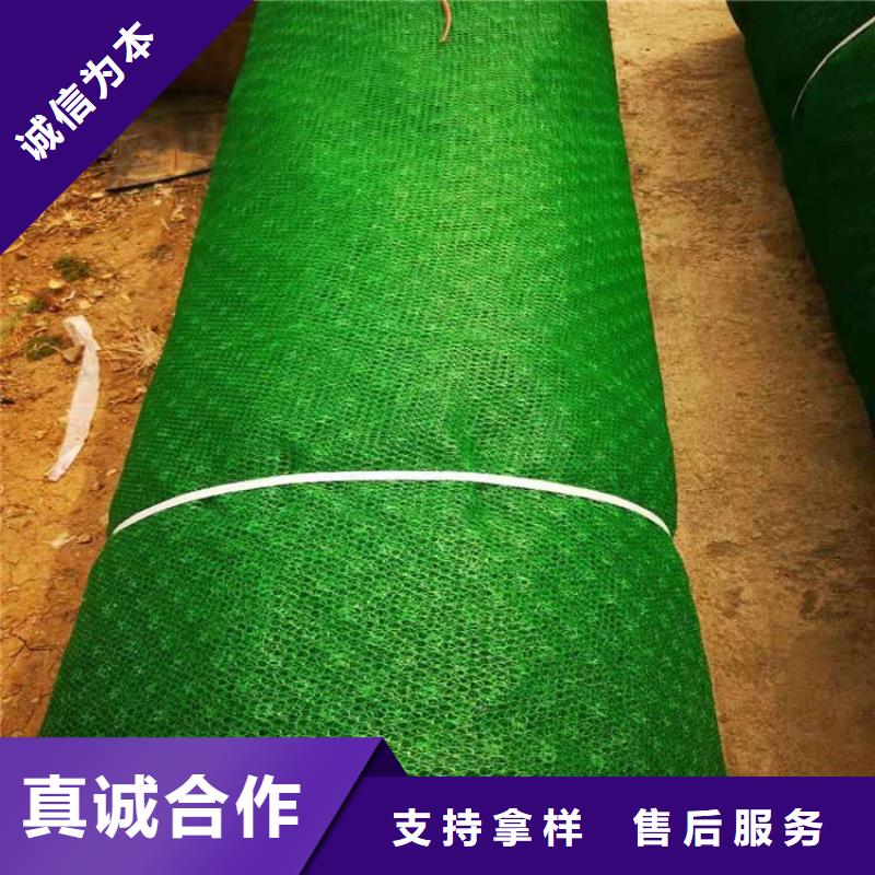 三維植被網(wǎng)【止水條】支持定制閃電發(fā)貨