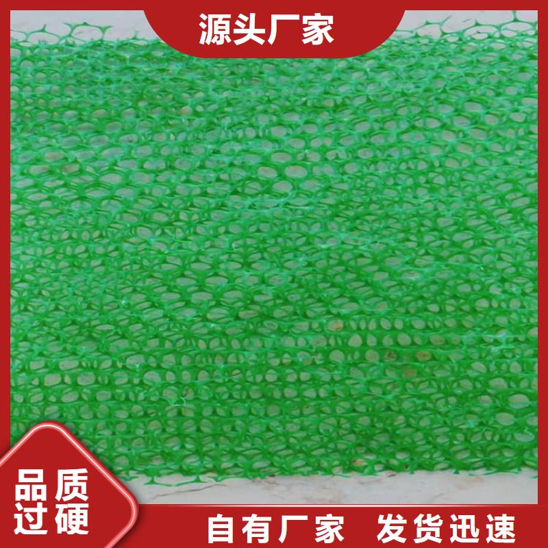 三维固土网垫环保边坡同城厂家