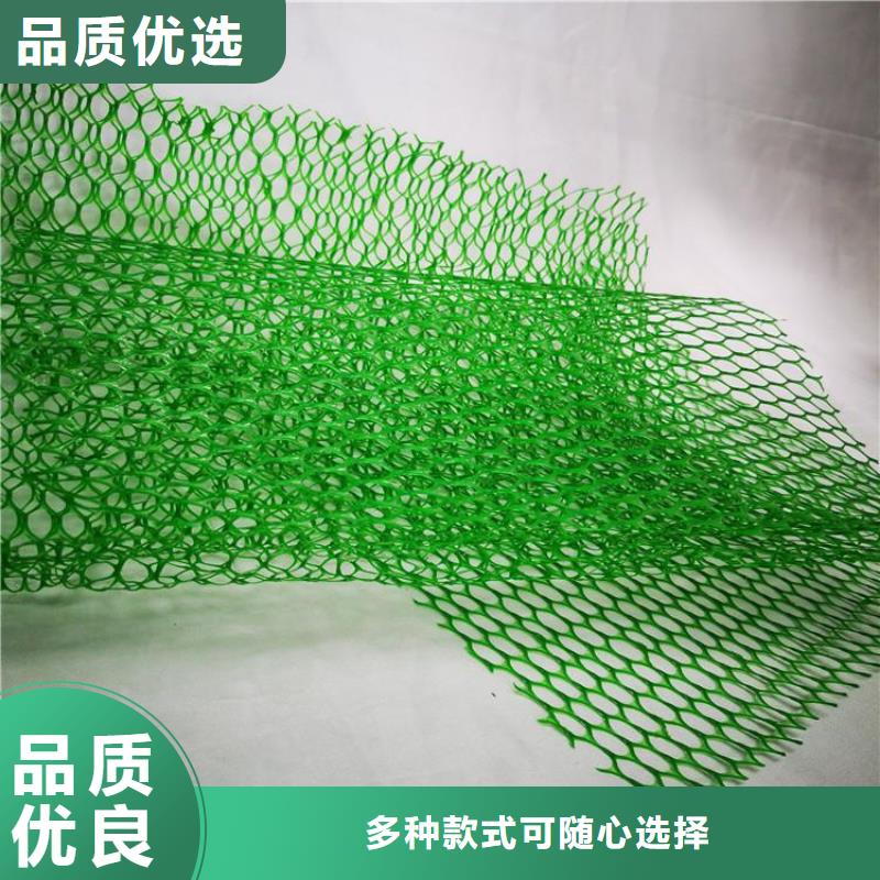 EM4三维护坡植草网垫-4层5层三维植被网当地经销商