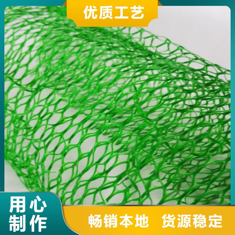 三維植被網(wǎng)礦用格柵讓客戶買的放心{當?shù)貆廠家