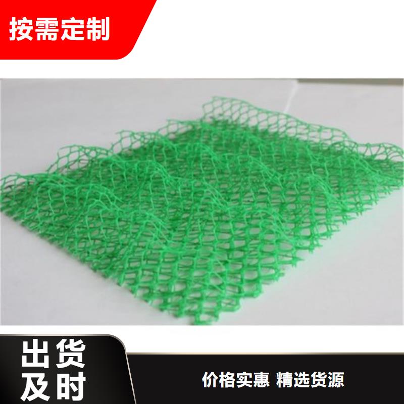 三维植被网HDPE土工膜厂家货源稳定本地品牌