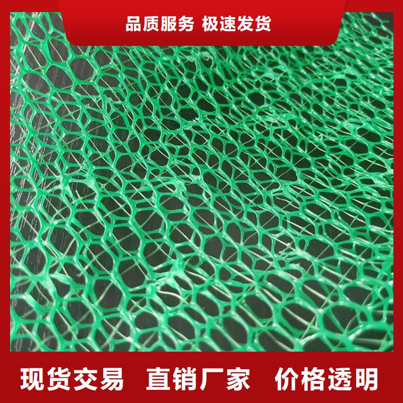 三維土工網(wǎng)墊-三維植被網(wǎng)好產(chǎn)品價(jià)格低