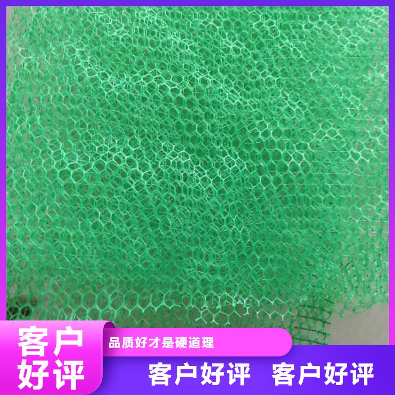 护坡草皮三维固土网垫性能稳定