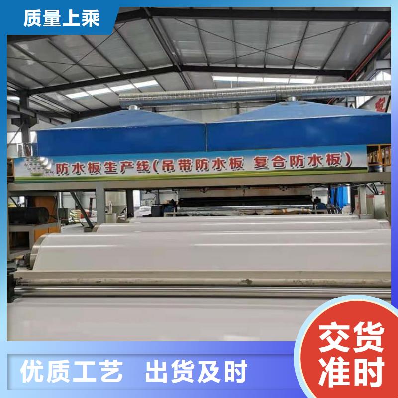 防水板_【土工格栅】优选原材海量货源