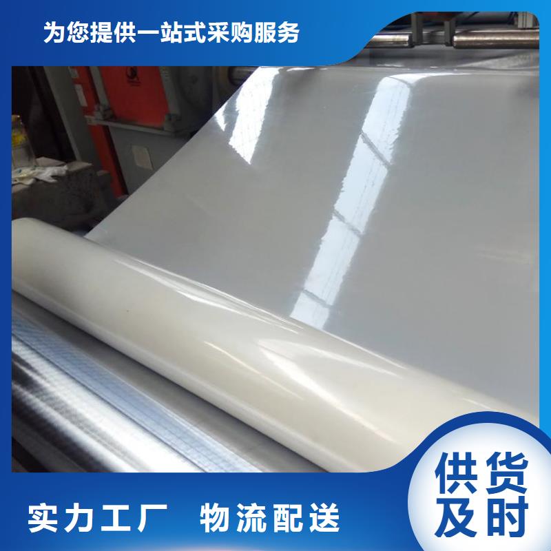 防水板HDPE土工膜真正的源头厂家送货上门