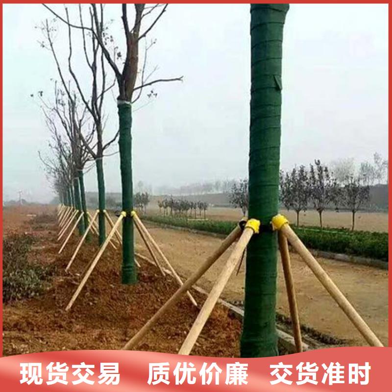 裹樹布,蓄水板精工制作海量貨源