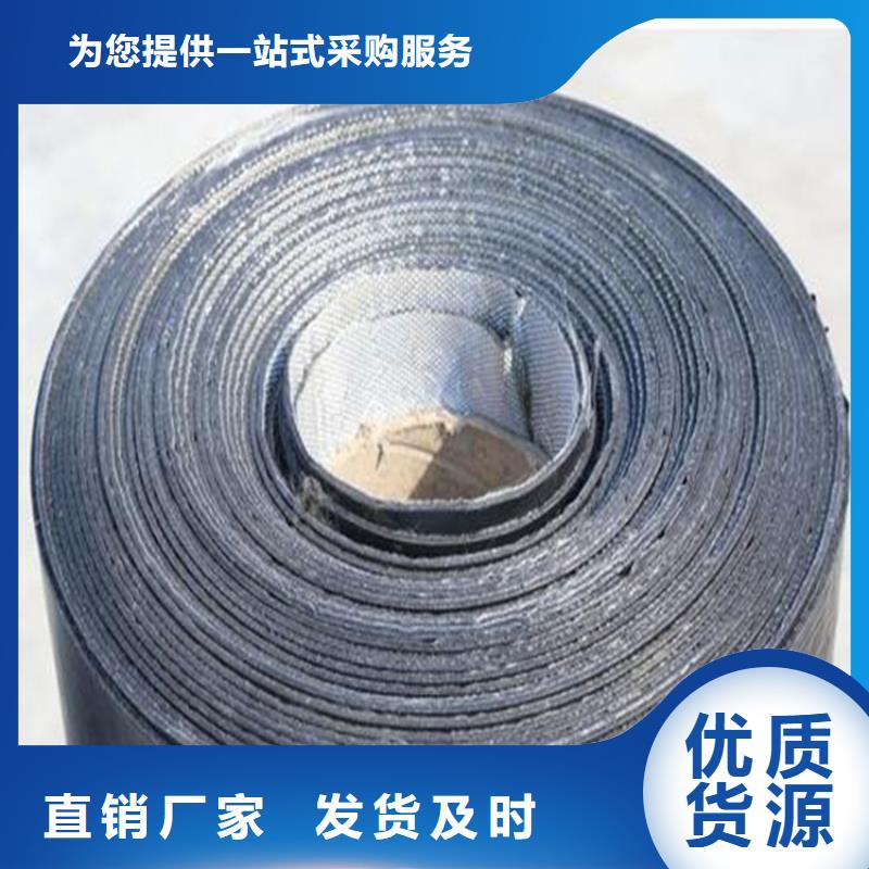 防裂貼HDPE土工膜值得信賴(lài)當(dāng)?shù)胤?wù)商