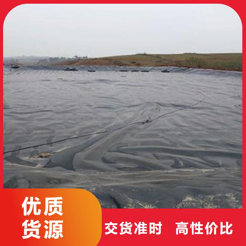 泥鰍防滲土工膜本地供應商