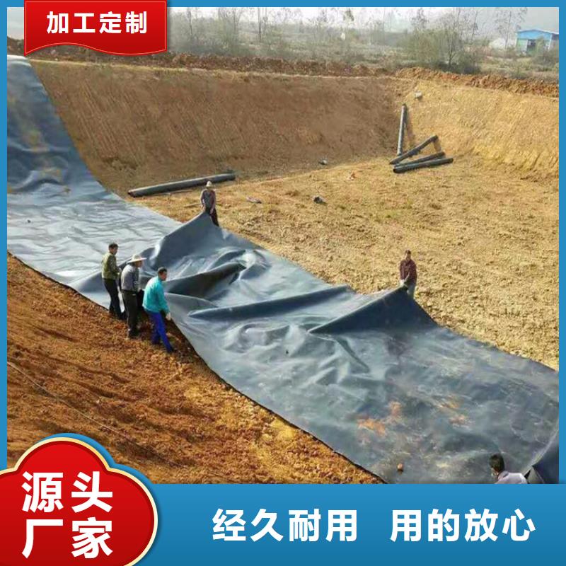 【土工膜_防渗膜我们更专业】品质好才是硬道理