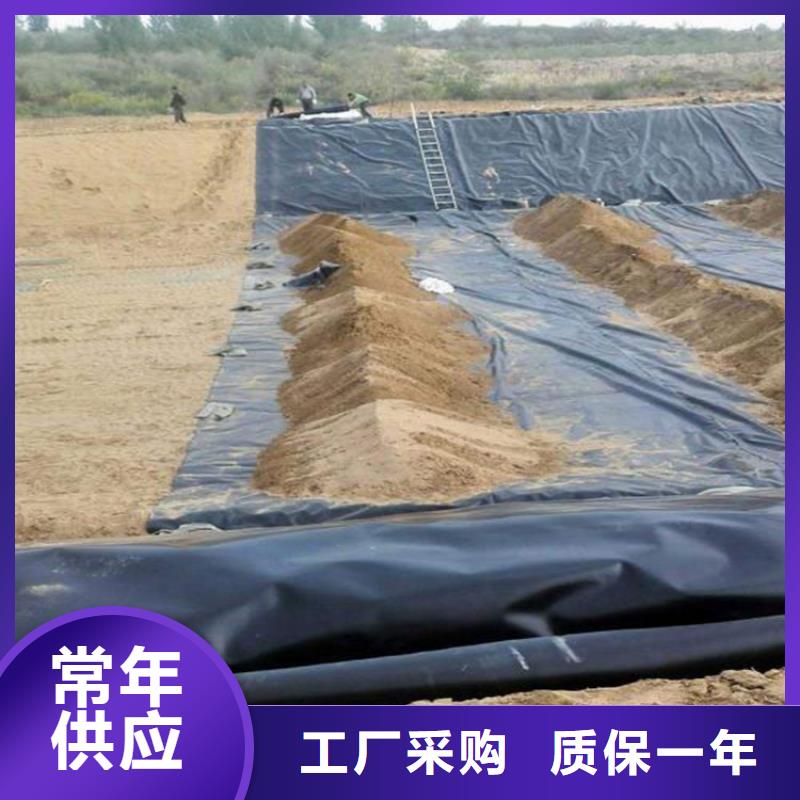 土工膜防滲膜應(yīng)用范圍廣泛本地生產(chǎn)商