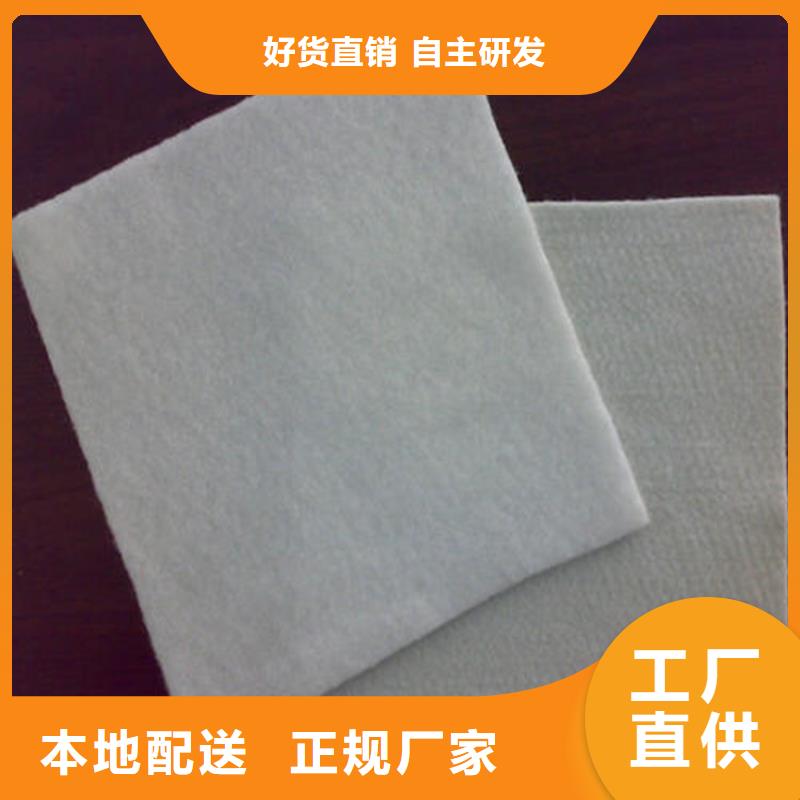 丙纶土工布_公司欢迎您同城货源