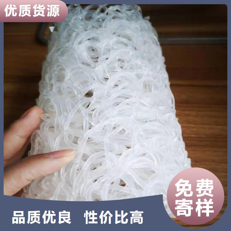 塑料盲沟三维植被网送货上门极速发货