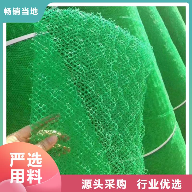 三維植被網(wǎng)抗裂貼大量現(xiàn)貨供應(yīng)當(dāng)?shù)厣a(chǎn)廠家