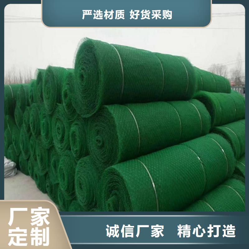 三維植被網(wǎng)邊坡防護-加固服務(wù)周到
