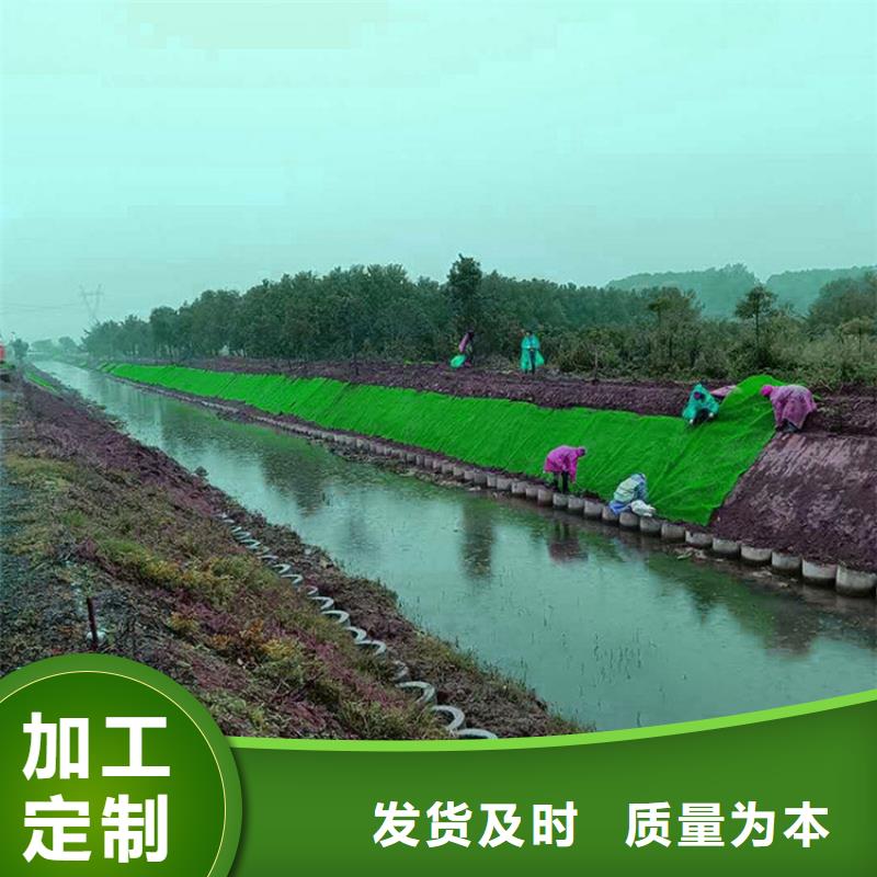 三维植被网玻纤格栅定制批发源厂供货
