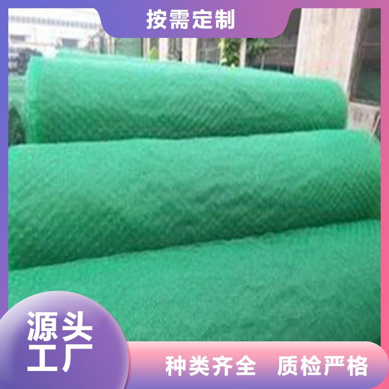 三维护坡植被网垫供应把实惠留给您