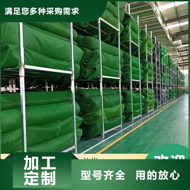 三维土工网垫#塑料护坡同城服务商
