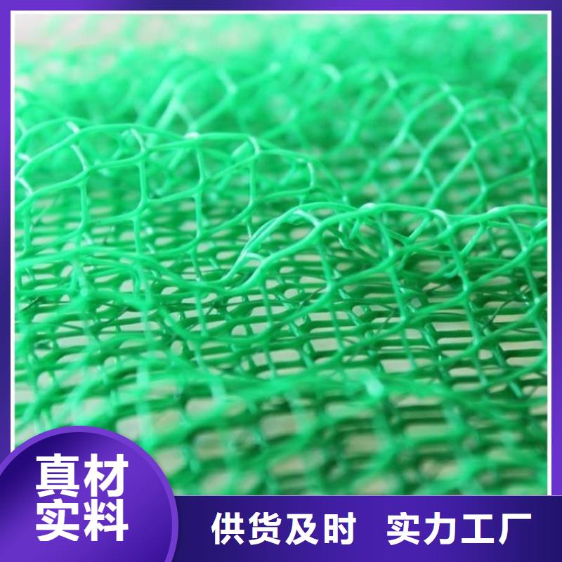 【三维植被网】_土工膜超产品在细节定制批发