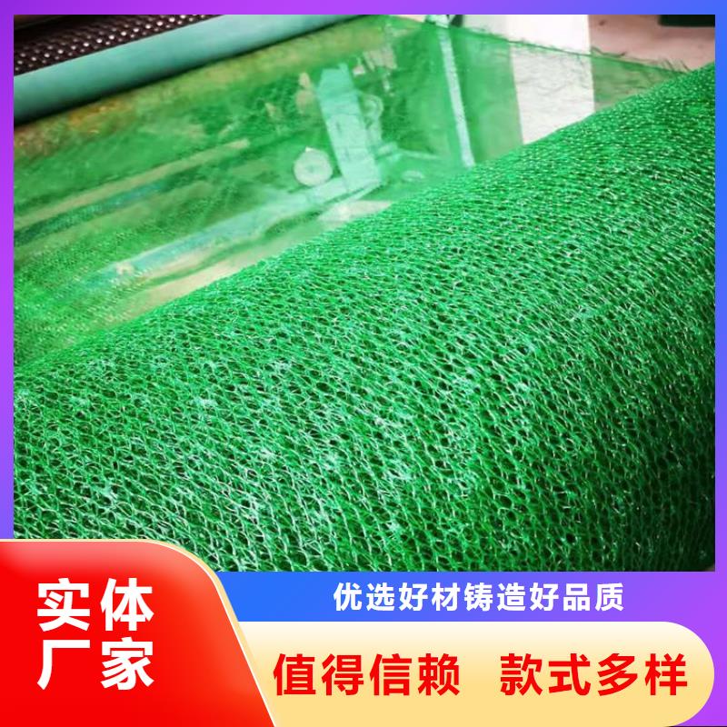 三维固土网垫-三维植被网垫放心购
