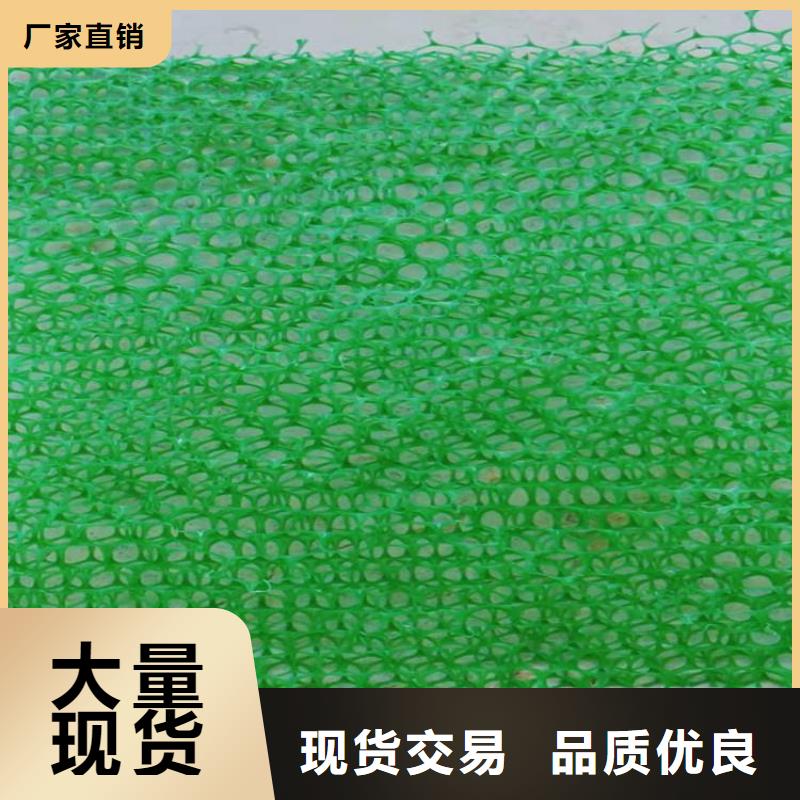 草皮绿化三维加筋土工网垫实力商家供货稳定