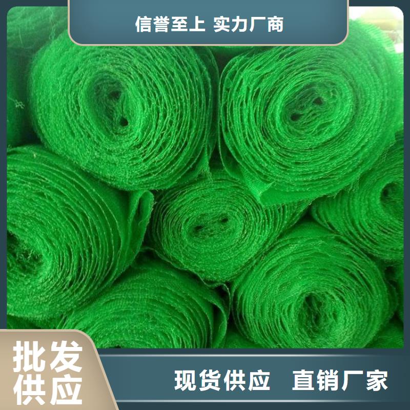 三維植被網(wǎng)拉筋帶庫存充足本地經(jīng)銷商