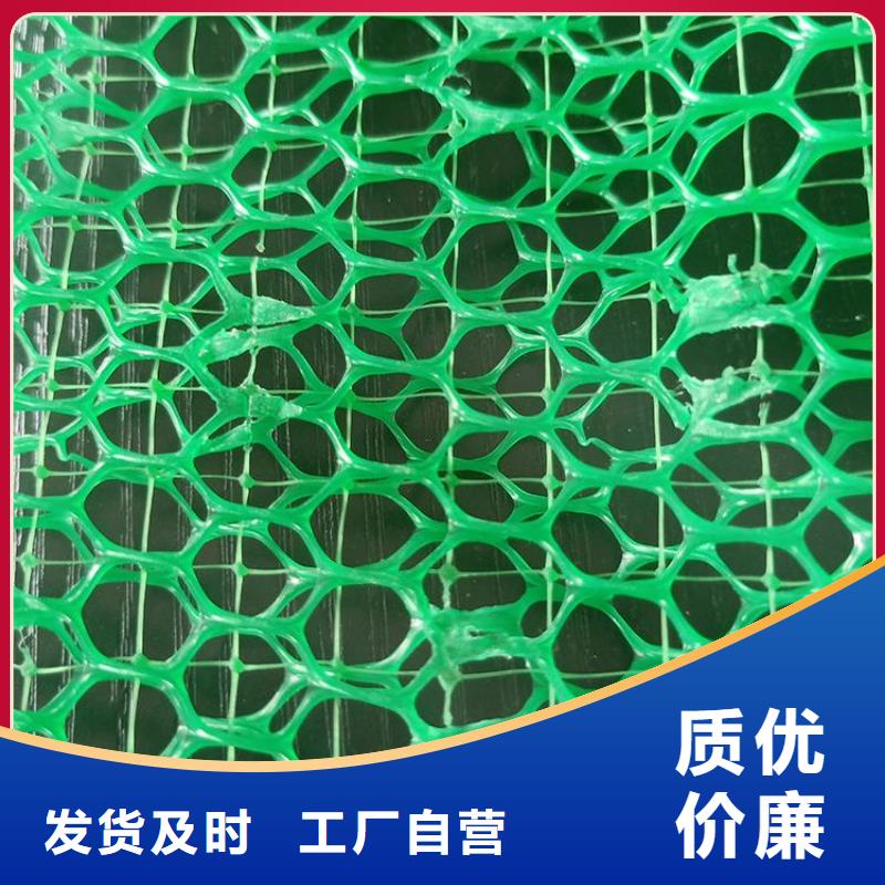 三维植被网防裂贴源头厂家来图定制现货采购
