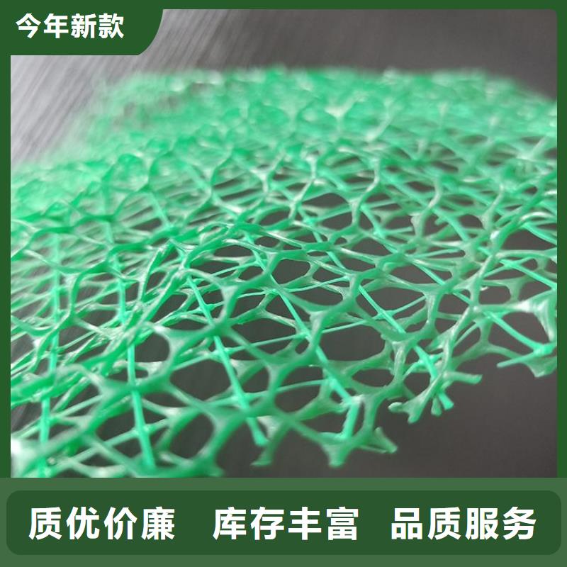 三维植被网#塑料边坡厂家直销供货稳定