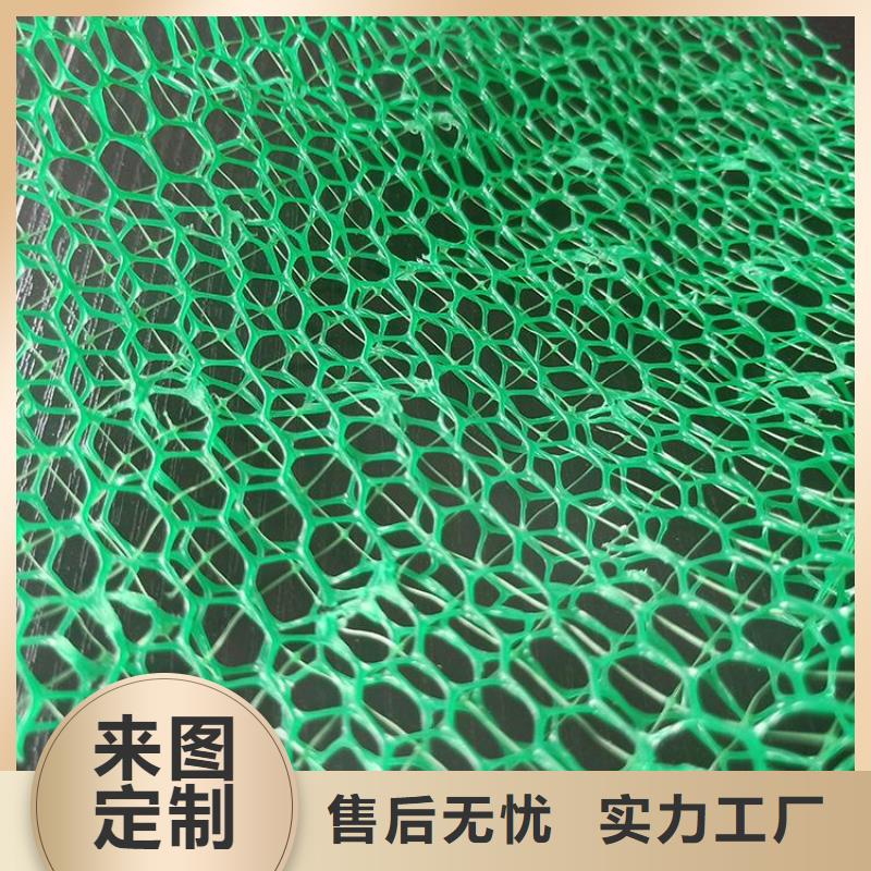 三维固土网垫销售同城厂家