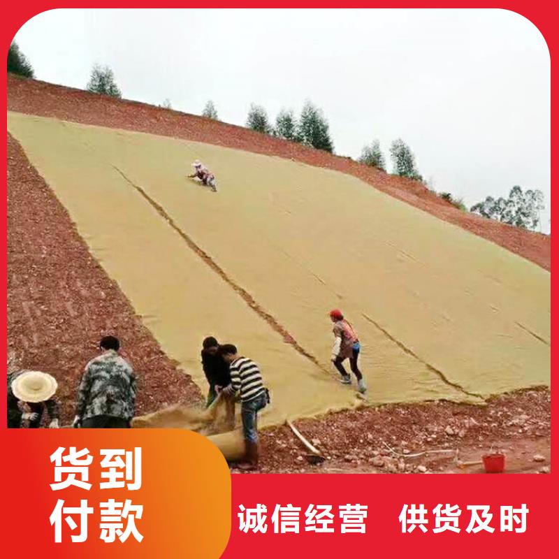 植物纤维毯-护坡植被植草毯符合标准