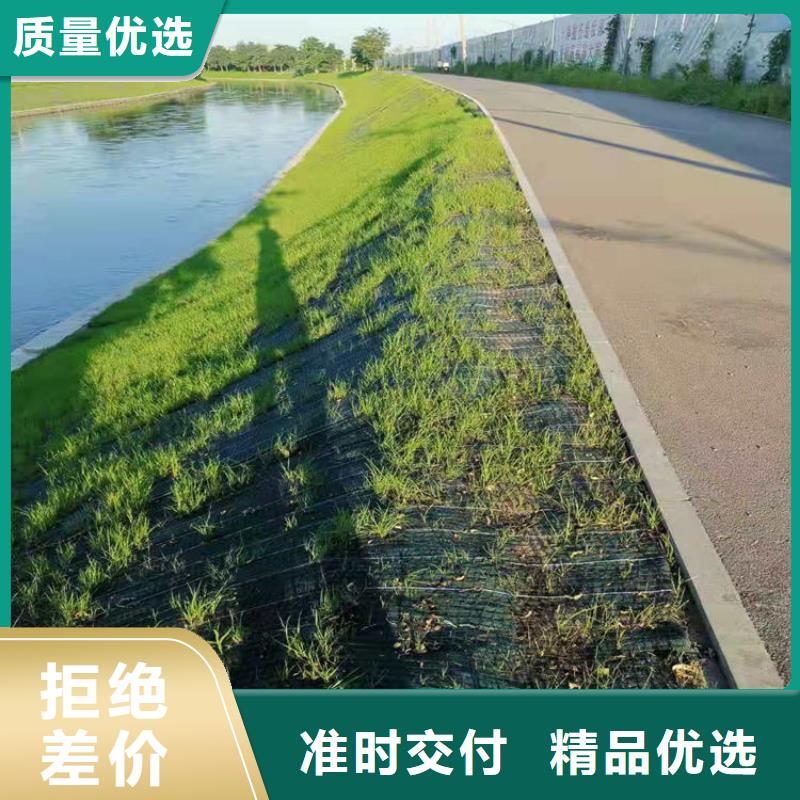 植物纖維毯經(jīng)銷-哪里有賣的當(dāng)?shù)毓?yīng)商
