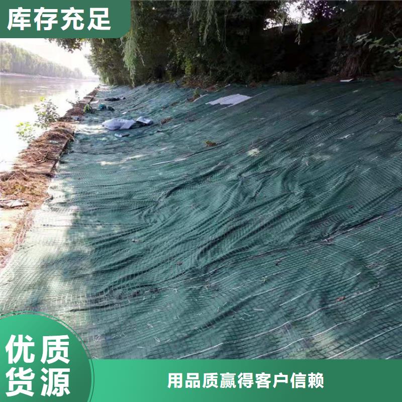 椰丝毯土工膜出货快本地生产商