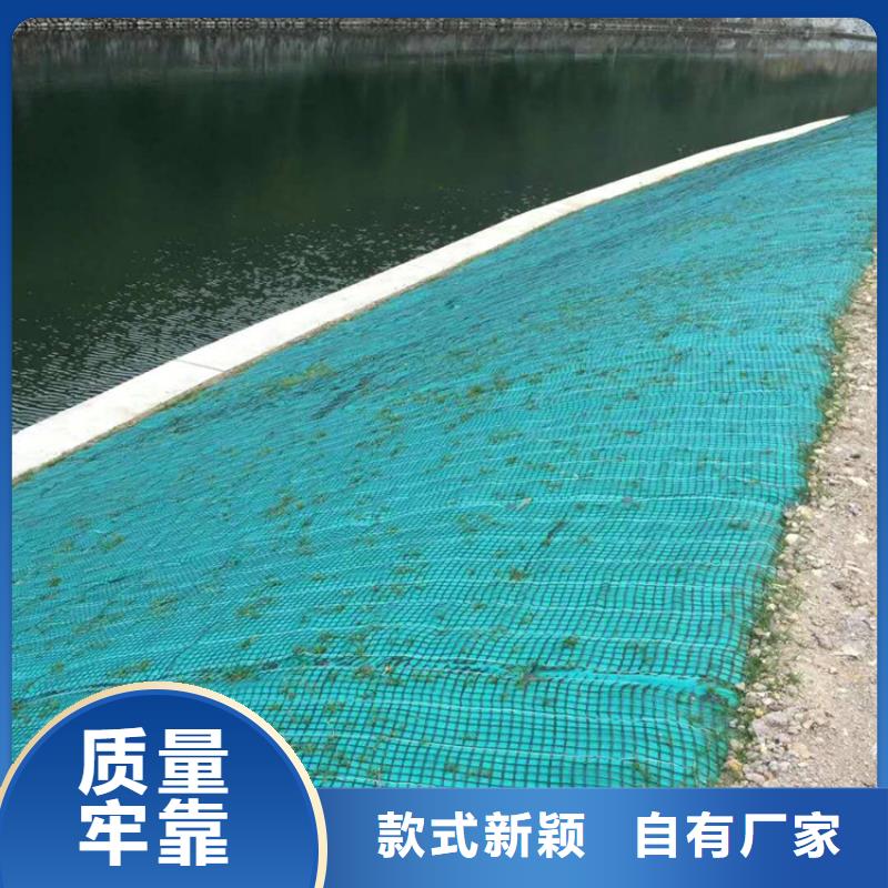 植物纤维毯-加筋抗冲生态毯批发供应