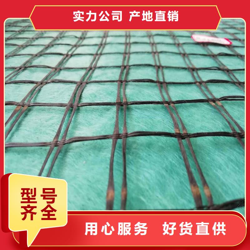 植生椰丝毯-加筋抗冲生态毯-加筋椰丝毯当地公司